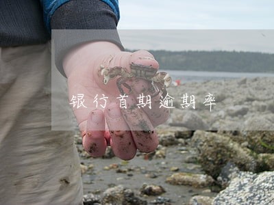 银行首期逾期率