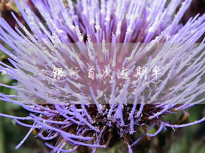 银行首次逾期率 银行首次逾期率