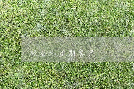 银谷-逾期客户 银谷-逾期客户
