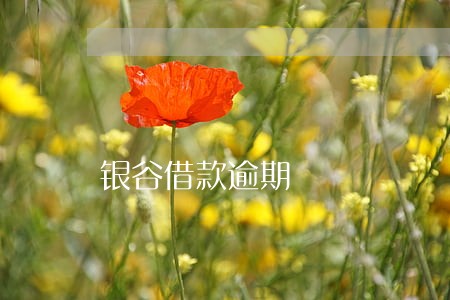 银谷借款逾期 银谷借款逾期