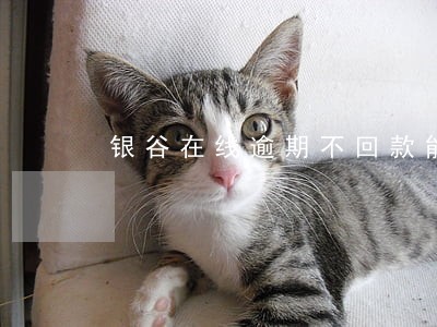 银谷在线逾期不回款能报警吗 银谷在线逾期不回款能报警吗