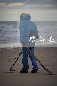 银谷在线逾期有地方投诉吗 银谷在线逾期有地方投诉吗