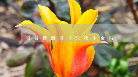 银谷普惠可以只还本金吗 银谷普惠可以只还本金吗