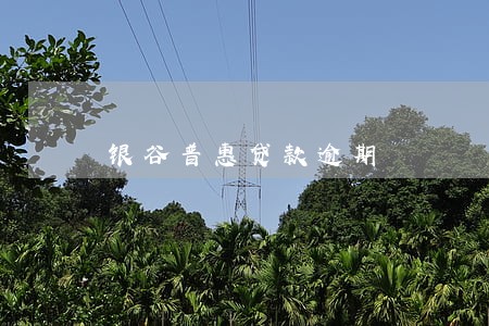 银谷普惠贷款逾期 银谷普惠贷款逾期