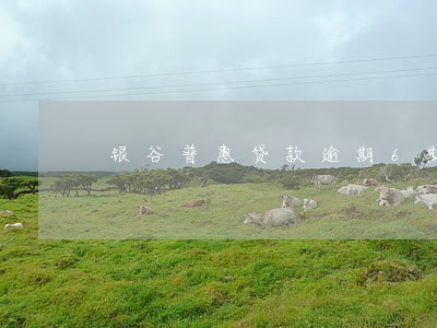 银谷普惠贷款逾期6期 银谷普惠贷款逾期6期