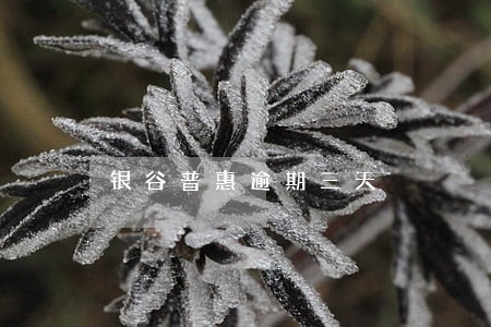 银谷普惠逾期三天 银谷普惠逾期三天