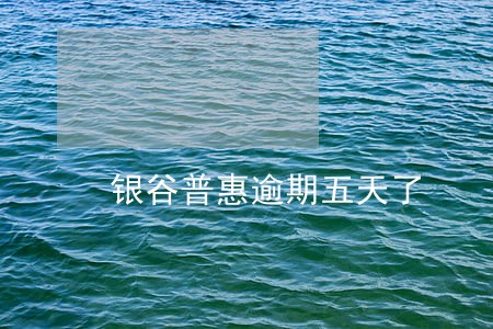 银谷普惠逾期五天了 银谷普惠逾期五天了
