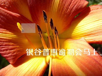 银谷普惠逾期会马上上门吗 银谷普惠逾期会马上上门吗