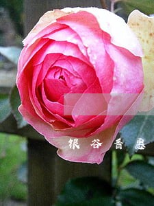 银谷普惠逾期四个月 银谷普惠逾期四个月