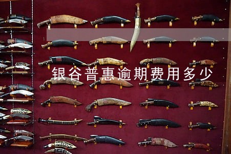 银谷普惠逾期费用多少 银谷普惠逾期费用多少