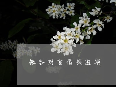 银谷财富借钱逾期 银谷财富借钱逾期