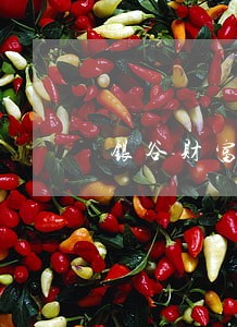 银谷财富回款逾期 银谷财富回款逾期