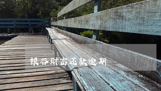 银谷财富还款逾期 银谷财富还款逾期