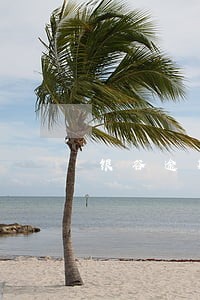 银谷逾期不打电话 银谷逾期不打电话