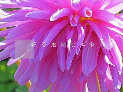 银谷逾期会上征信吗 银谷逾期会上征信吗