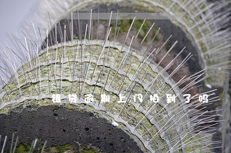 银贷逾期上门拍到了吗