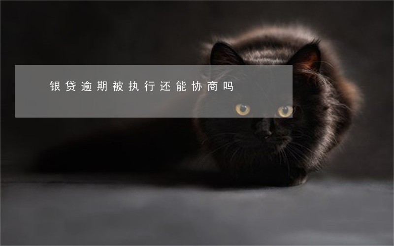 银贷逾期被执行还能协商吗