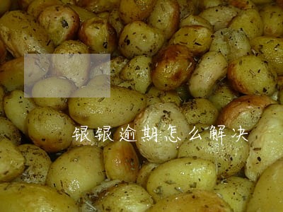 银银逾期怎么解决