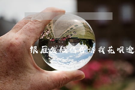 银雁发短信告诉我花呗逾期了