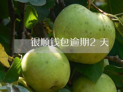银顺钱包逾期2天 银顺钱包逾期2天