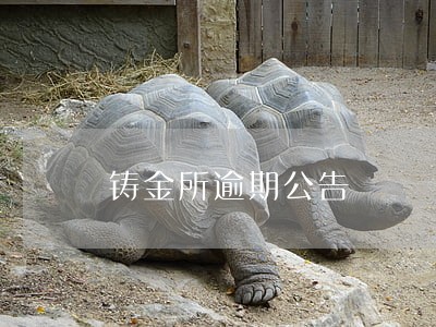 铸金所逾期公告