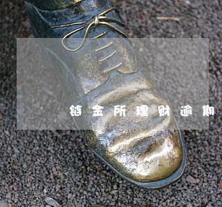 链金所理财逾期怎么办 链金所理财逾期怎么办