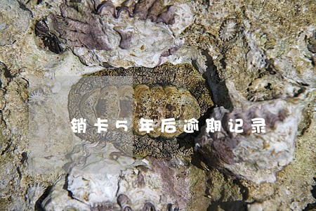 销卡5年后逾期记录 销卡5年后逾期记录