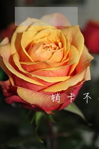 销卡不销户逾期记录还有吗 销卡不销户逾期记录还有吗
