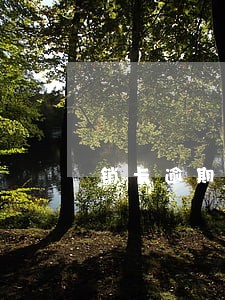销卡逾期信息 销卡逾期信息