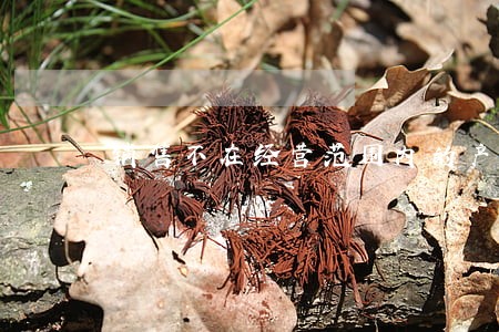 销售不在经营范围内的产品违法吗