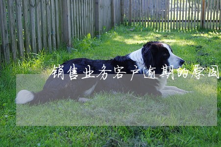 销售业务客户逾期的原因有哪些 销售业务客户逾期的原因有哪些