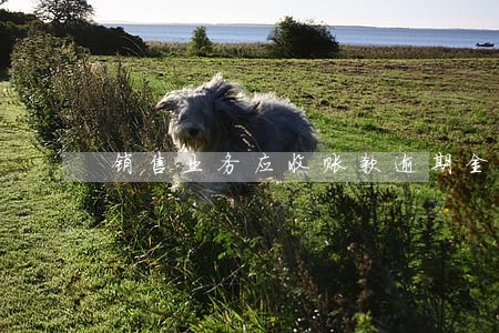 销售业务应收账款逾期金额 销售业务应收账款逾期金额