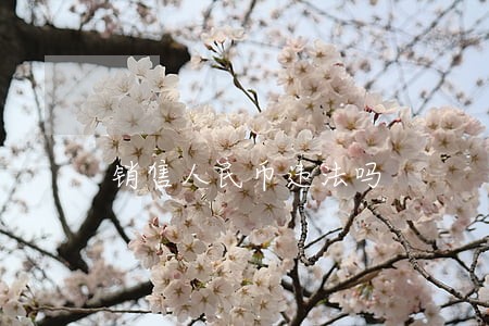 销售人民币违法吗