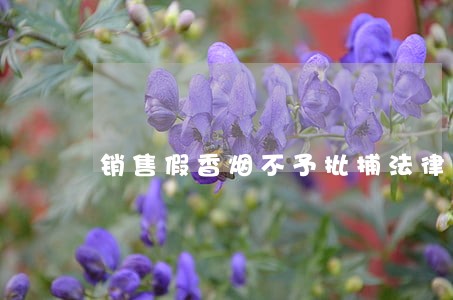 销售假香烟不予批捕法律意见书