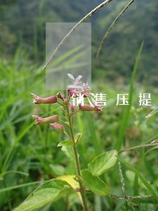销售压提成违法吗