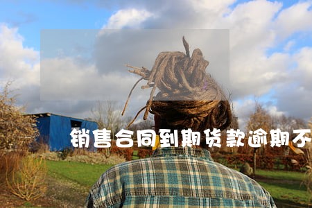 销售合同到期货款逾期不付怎么办 销售合同到期货款逾期不付怎么办
