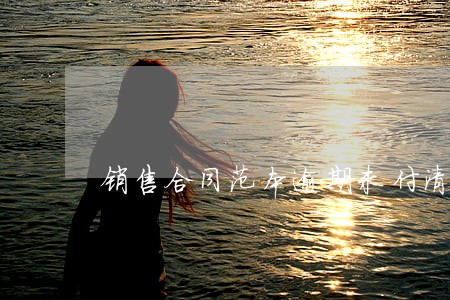 销售合同范本逾期未付清货款 销售合同范本逾期未付清货款