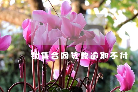 销售合同货款逾期不付 销售合同货款逾期不付