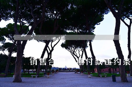 销售合同逾期付款违约条款范本 销售合同逾期付款违约条款范本
