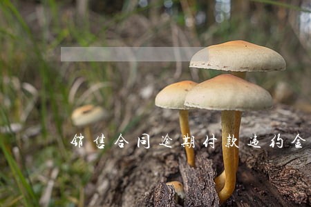 销售合同逾期付款违约金标准 销售合同逾期付款违约金标准