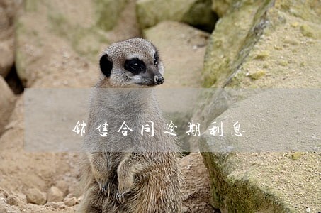 销售合同逾期利息 销售合同逾期利息