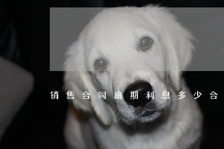 销售合同逾期利息多少合法 销售合同逾期利息多少合法