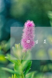 销售员帮经销商卖货收款违法吗 销售员帮经销商卖货收款违法吗