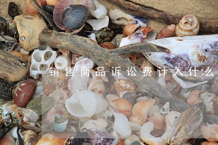 销售商品诉讼费计入什么科目