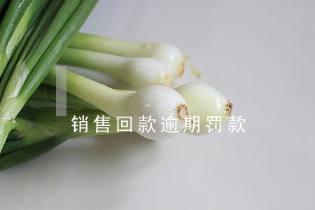 销售回款逾期罚款 销售回款逾期罚款