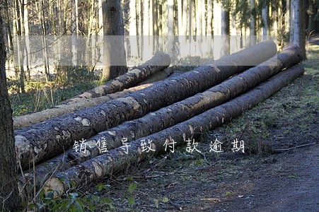 销售导致付款逾期 销售导致付款逾期