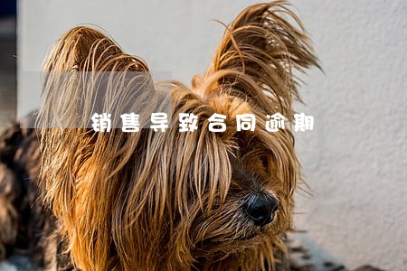 销售导致合同逾期 销售导致合同逾期