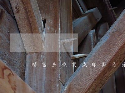 销售应收货款账期已逾期申请单 销售应收货款账期已逾期申请单