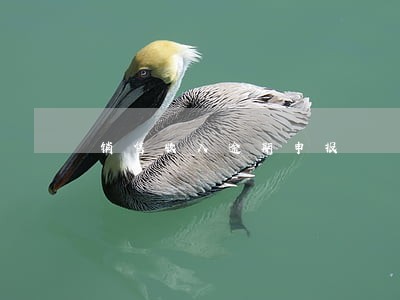 销售收入逾期申报 销售收入逾期申报