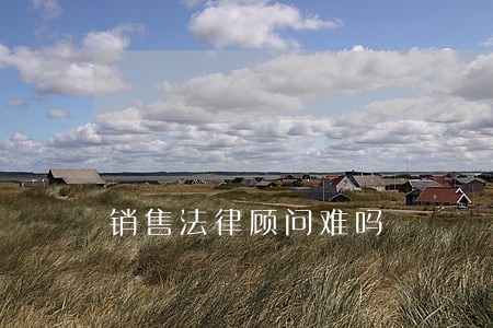 销售法律顾问难吗 销售法律顾问难吗